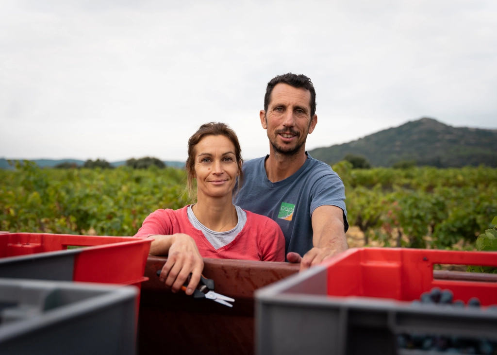 《1月販売案内》 アレクサンドル・オット