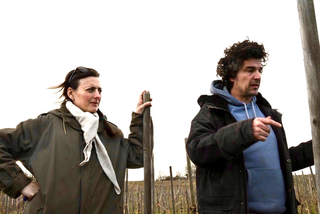 《1月販売案内》 シャトー・レスティニャック