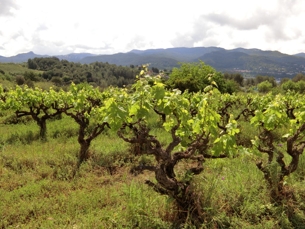 álvarogonzálezmarcos