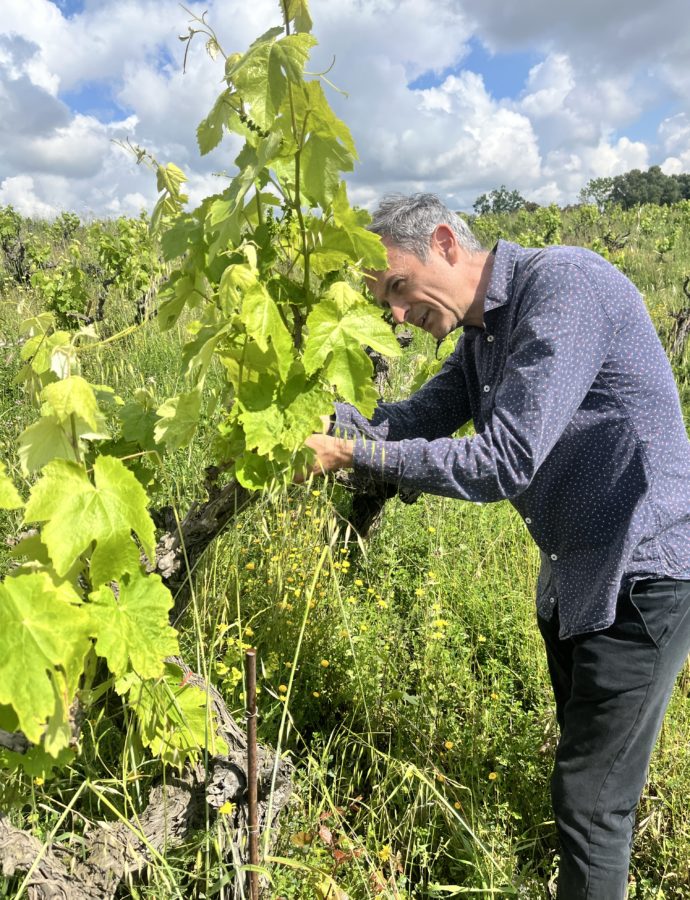 アルバロ・ゴンザレス訪問記