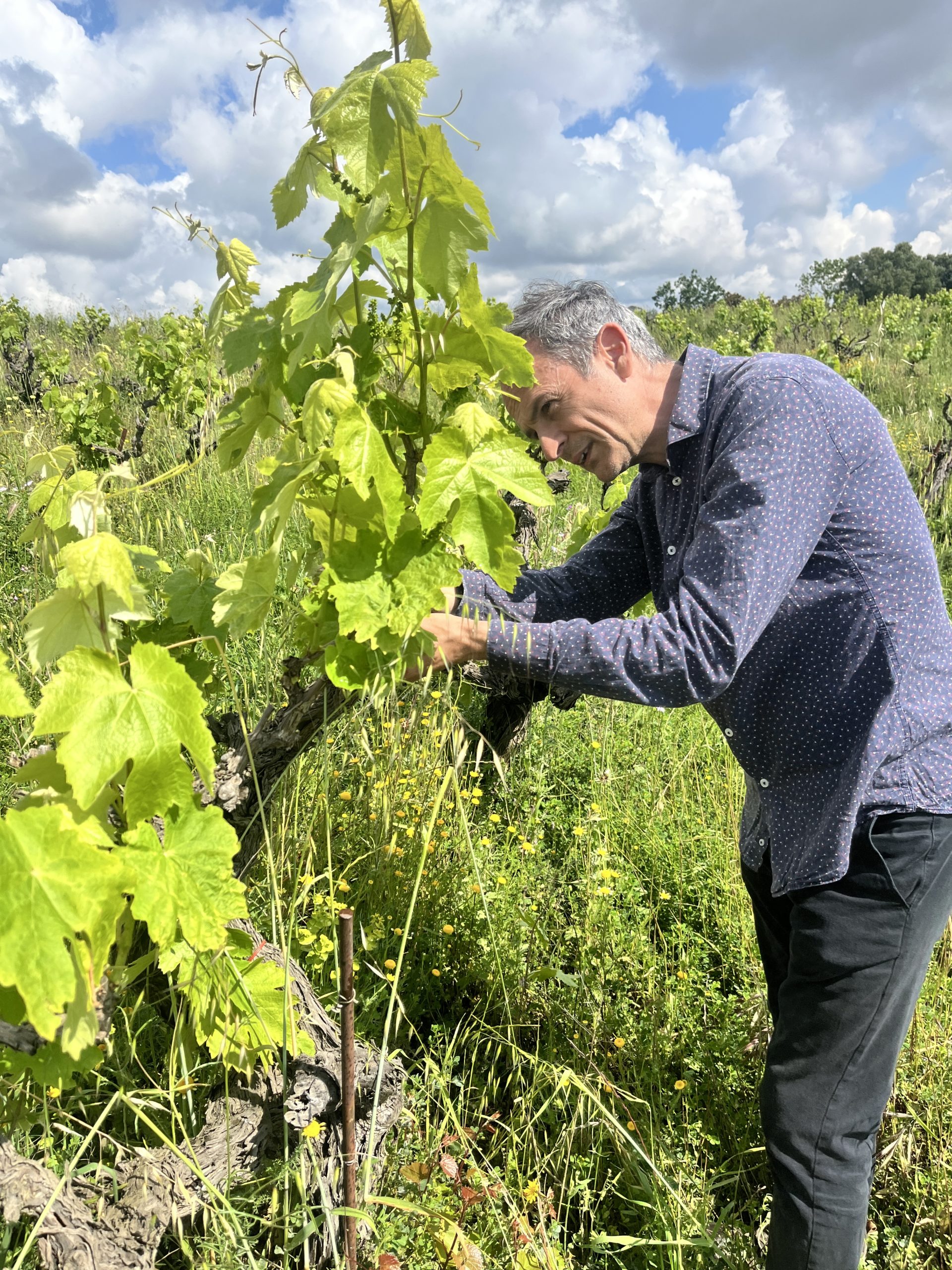 《3月販売案内》 アルバロ・ゴンサレス・マルコス