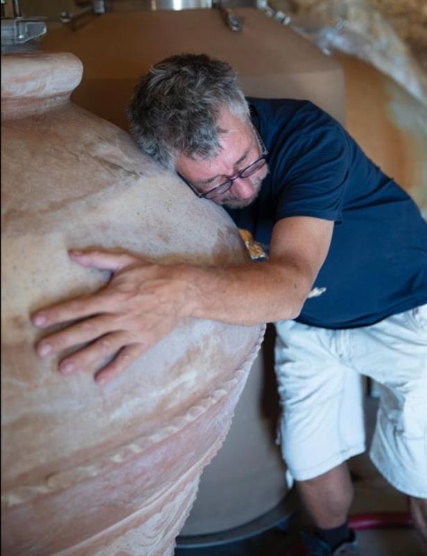 《3月販売案内》 マス・ゼニチュード