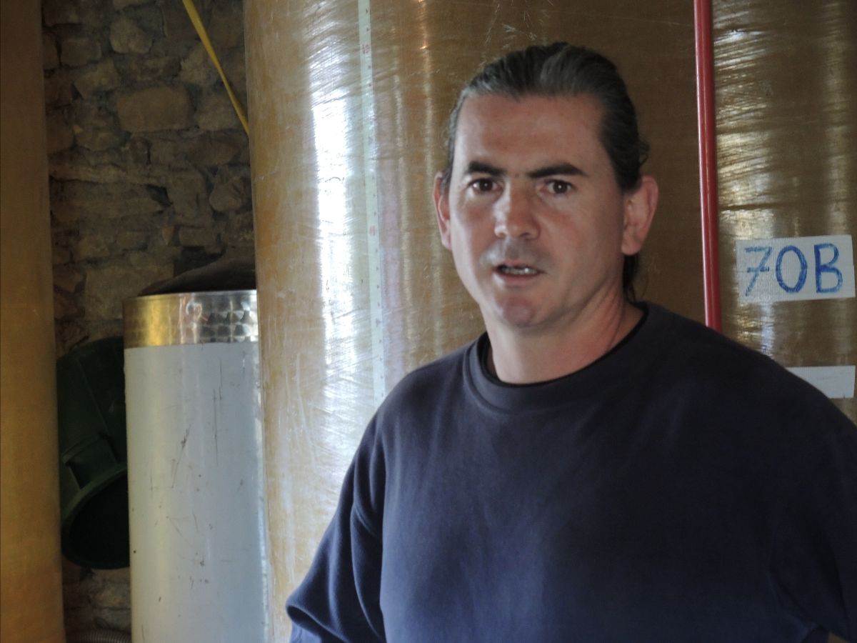 《1月販売案内》 シルヴァン・ボック