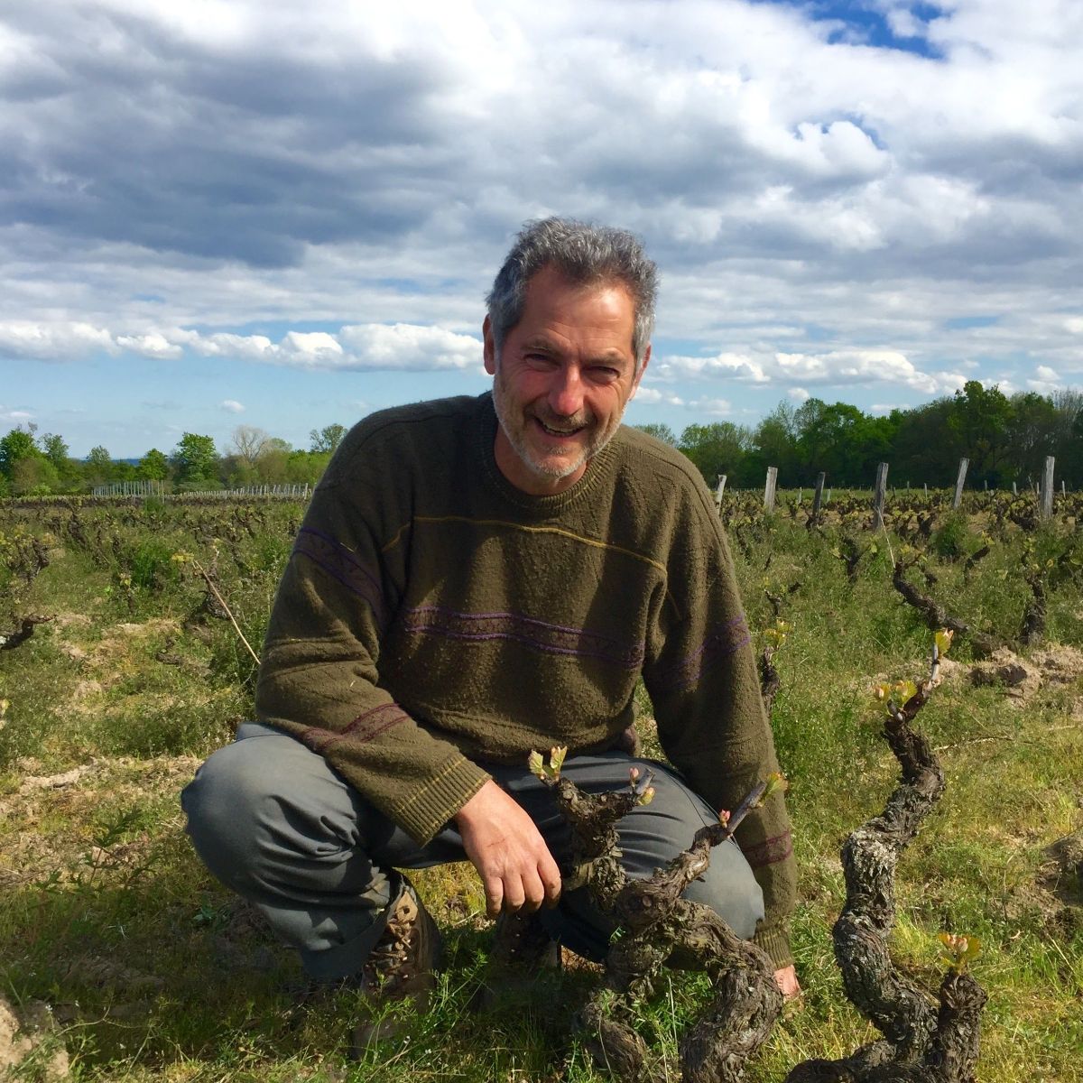 《1月販売案内》 リリアン・ボーシェ